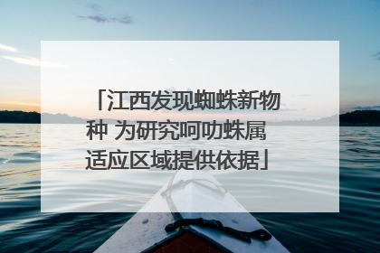 江西发现蜘蛛新物种 为研究呵叻蛛属适应区域提供依据