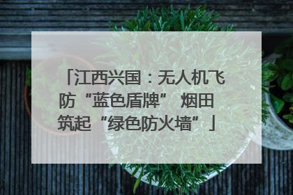 江西兴国：无人机飞防“蓝色盾牌” 烟田筑起“绿色防火墙”