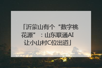 沂蒙山有个“数字桃花源”：山东联通AI让小山村C位出道