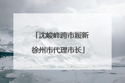 沈峻峰跨市履新徐州市代理市长