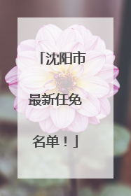 沈阳市最新任免名单！