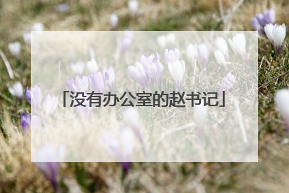 没有办公室的赵书记