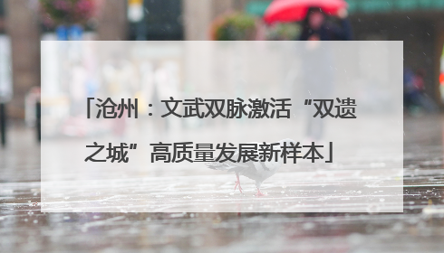 沧州：文武双脉激活“双遗之城”高质量发展新样本