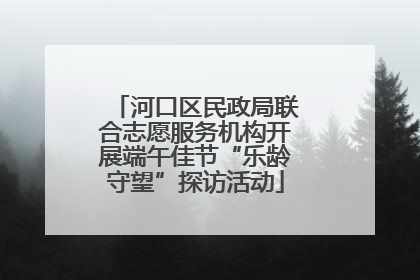 河口区民政局联合志愿服务机构开展端午佳节“乐龄守望”探访活动