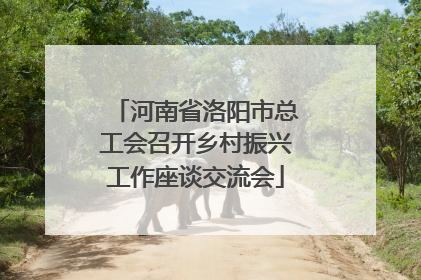 河南省洛阳市总工会召开乡村振兴工作座谈交流会