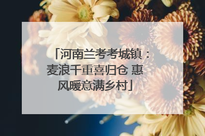 河南兰考考城镇：麦浪千重喜归仓 惠风暖意满乡村