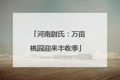 河南尉氏：万亩桃园迎来丰收季