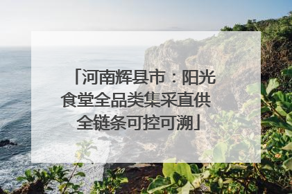 河南辉县市：阳光食堂全品类集采直供 全链条可控可溯