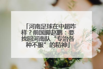 河南足球在中超咋样？前国脚赵鹏：要找回河南队“专治各种不服”的精神