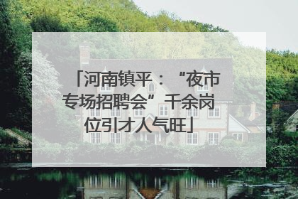 河南镇平：“夜市专场招聘会”千余岗位引才人气旺