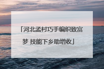 河北孟村巧手编织致富梦 技能下乡助增收