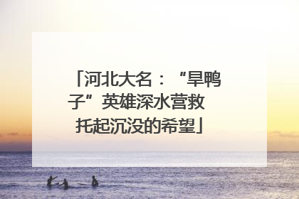 河北大名：“旱鸭子”英雄深水营救 托起沉没的希望