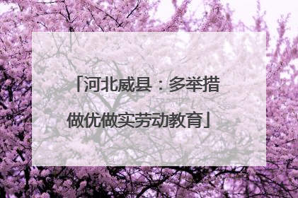 河北威县：多举措做优做实劳动教育