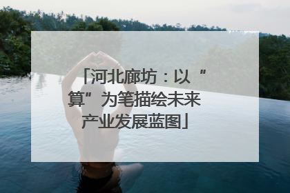 河北廊坊：以“算”为笔描绘未来产业发展蓝图
