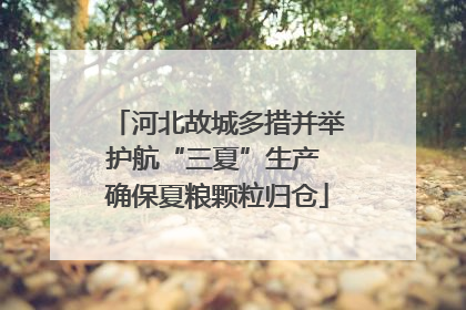 河北故城多措并举护航“三夏”生产 确保夏粮颗粒归仓