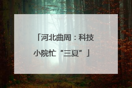 河北曲周：科技小院忙“三夏”