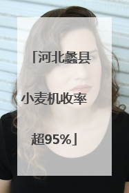 河北蠡县小麦机收率超95%