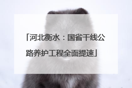 河北衡水：国省干线公路养护工程全面提速