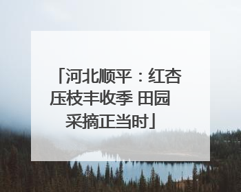河北顺平：红杏压枝丰收季 田园采摘正当时