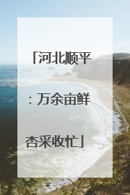 河北顺平：万余亩鲜杏采收忙