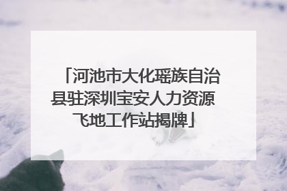 河池市大化瑶族自治县驻深圳宝安人力资源飞地工作站揭牌