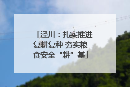 泾川：扎实推进复耕复种 夯实粮食安全“耕”基