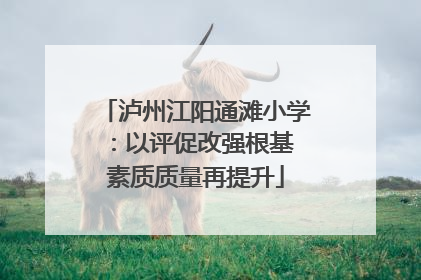 泸州江阳通滩小学：以评促改强根基 素质质量再提升