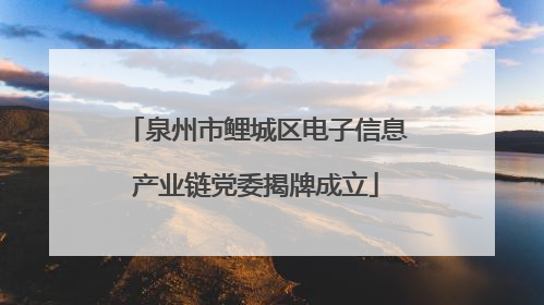 泉州市鲤城区电子信息产业链党委揭牌成立