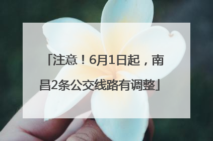 注意！6月1日起，南昌2条公交线路有调整