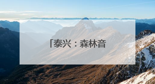 泰兴：森林音乐会奏响文旅融合新乐章