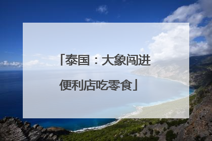泰国：大象闯进便利店吃零食