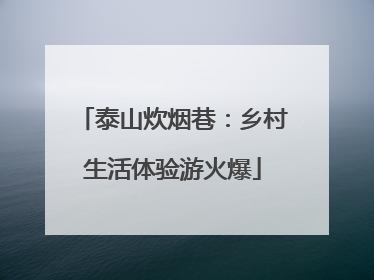 泰山炊烟巷：乡村生活体验游火爆