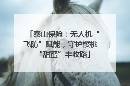 泰山保险：无人机“飞防”赋能，守护樱桃“甜蜜”丰收路