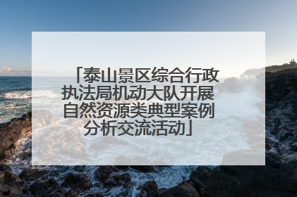 泰山景区综合行政执法局机动大队开展自然资源类典型案例分析交流活动