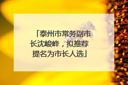 泰州市常务副市长沈峻峰，拟推荐提名为市长人选