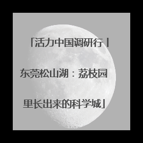 活力中国调研行丨东莞松山湖：荔枝园里长出来的科学城