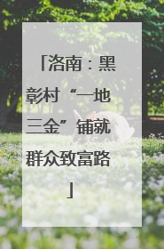 洛南：黑彰村“一地三金”铺就群众致富路