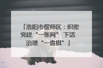 洛阳市偃师区：织密党建“一张网” 下活治理“一盘棋”