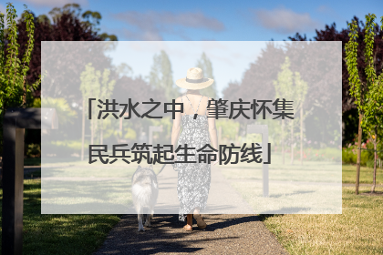 洪水之中，肇庆怀集民兵筑起生命防线