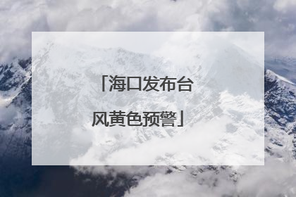 海口发布台风黄色预警