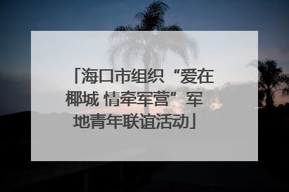 海口市组织“爱在椰城 情牵军营”军地青年联谊活动