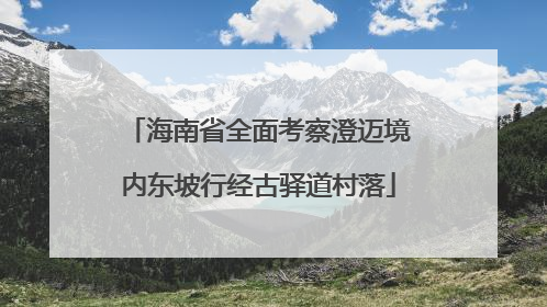 海南省全面考察澄迈境内东坡行经古驿道村落