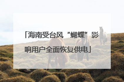 海南受台风“蝴蝶”影响用户全面恢复供电