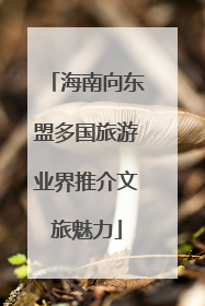 海南向东盟多国旅游业界推介文旅魅力
