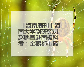 海南周刊丨海南大学副研究员赵鹏曾赴南极科考：企鹅都市破冰行