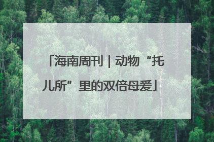 海南周刊｜动物“托儿所”里的双倍母爱