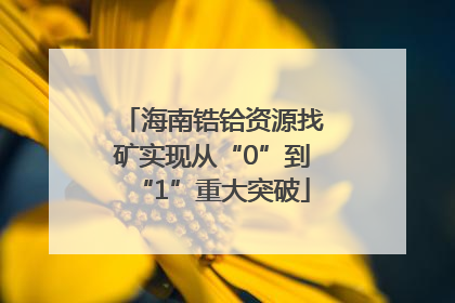 海南锆铪资源找矿实现从“0”到“1”重大突破