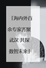 海内外百余专家齐聚武汉 共探数智未来
