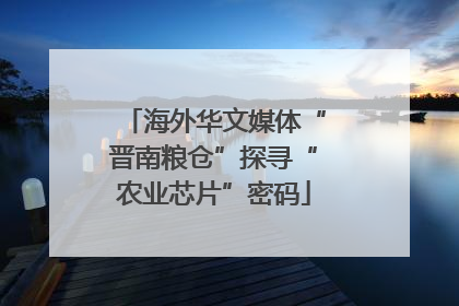 海外华文媒体“晋南粮仓”探寻“农业芯片”密码