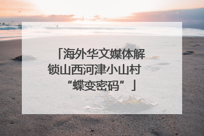 海外华文媒体解锁山西河津小山村“蝶变密码”